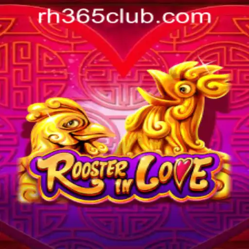 Discover the Excitement of 